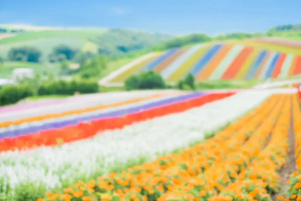 Hermoso Paisaje Shikisai Oka Para Concepto Viaje —  Fotos de Stock