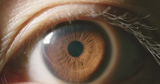 Macro shot van bruin oog — Stockvideo