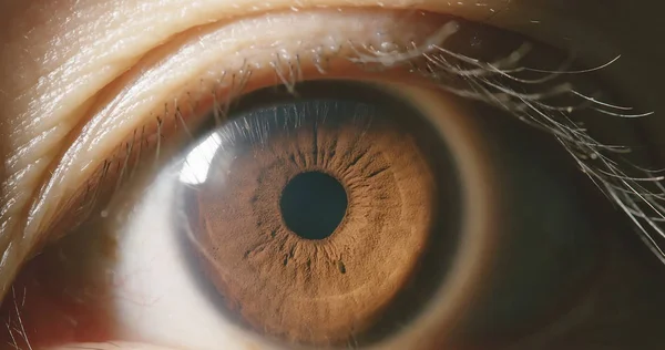 Macro shot of brown eye — Stock Photo, Image