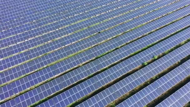 Solární panely zastřelen bzukot — Stock video