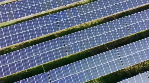 Zonnepanelen geschoten door Drone — Stockvideo