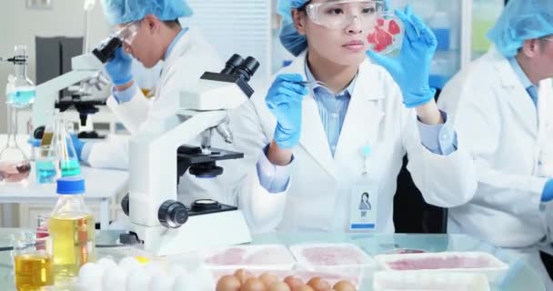 Prueba microbiológica Calidad de los alimentos — Vídeo de stock