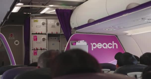 Путешественник сидит на персиковом самолете — стоковое видео