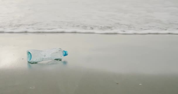 Garrafa de plástico animal de estimação na praia — Vídeo de Stock