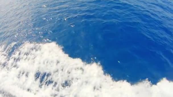 Le schiume dell'acqua di mare — Video Stock