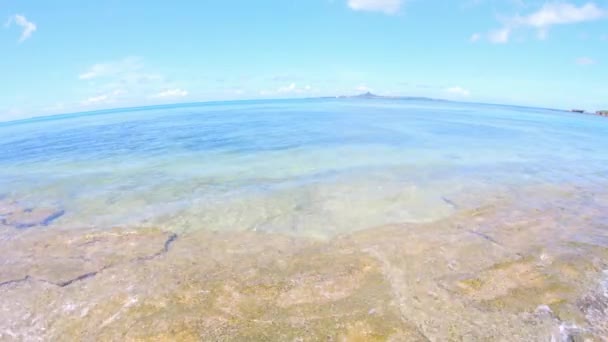Pemandangan indah dari garis pantai — Stok Video