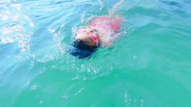 Asiático menina natação costas — Vídeo de Stock