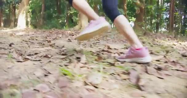 Mulher correndo na estrada da floresta — Vídeo de Stock
