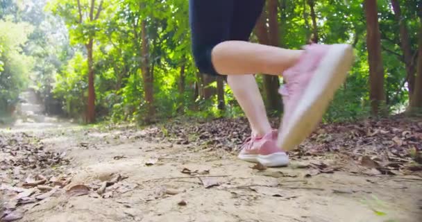 Donna che fa jogging nella strada forestale — Video Stock