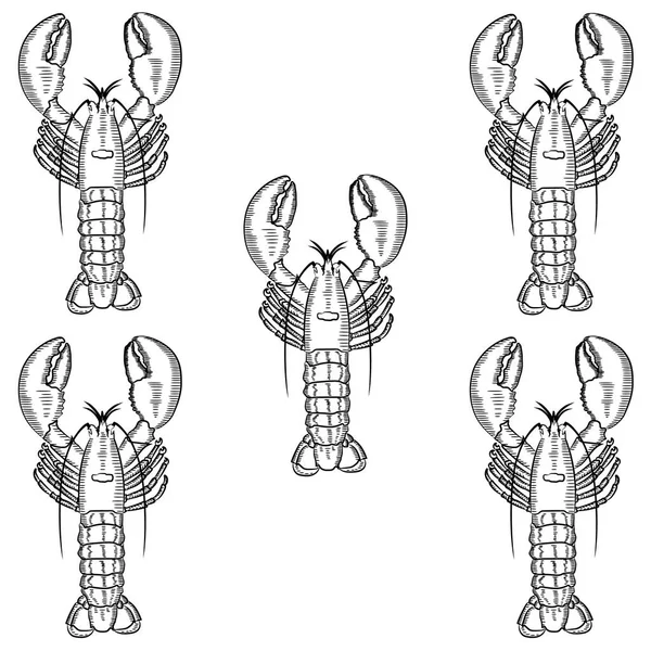Эскиз Лобстера Модель Нескольких Раскрашенных Бесцветных Лобстеров Векторная Иллюстрация Рисунок — стоковый вектор