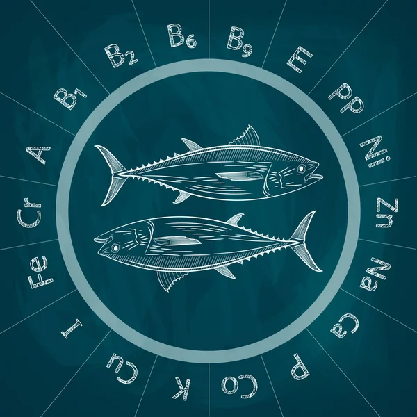 人気のある海魚マグロのスケッチ 魚のマグロとビタミンや微量要素の中に含まれます 黒板にチョークを描画します ベクトル図 — ストックベクタ