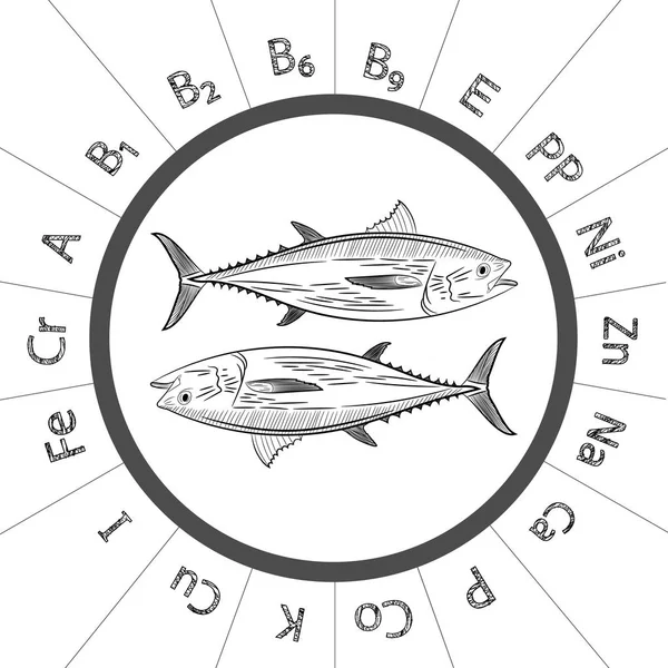 Bosquejo Del Popular Atún Mar Atún Pescado Vitaminas Microelementos Contenidos — Vector de stock