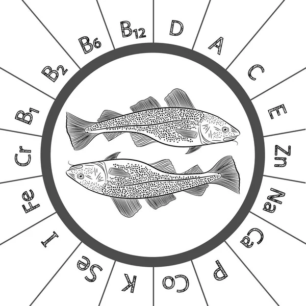 人気のある海鱈のスケッチ 魚のタラとそれに含まれるビタミンや微量元素 ベクトル図 — ストックベクタ