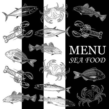 Menü, Deniz balığı. Desen boyalı popüler deniz balık ve yengeç, ıstakoz. Somon, ton balığı, cod, uskumru, dorado, ıstakoz, yengeç. Siyah arka plan. Vektör çizim