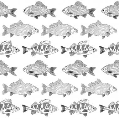 Boyalı nehir balığı üzerinde beyaz bir arka plan deseni. Nesneleri paralel olarak bulunur. Kroki nehir balık: sazan, levrek, sazan. Vektör çizim