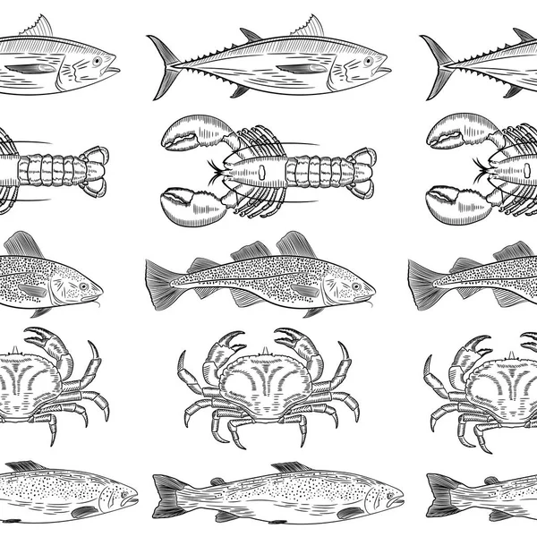 Modèle Poisson Mer Populaire Peint Crabe Homard Saumon Thon Morue — Image vectorielle