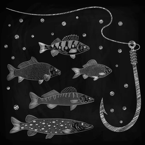 川の魚のテーマのイラスト パイクのセット Pikeperch スズキ 釣り糸や魚フックします スケッチ チョークを黒板では ベクター グラフィックの描画 — ストックベクタ