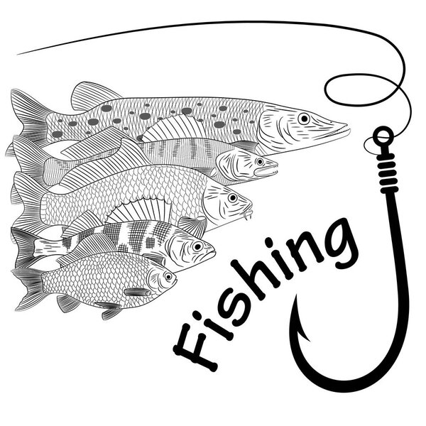 Drawing on the theme of river fish. Pike, pikeperch, carp, crucian carp, perch, fishing line and fish hook. Sketch, vector illustration.