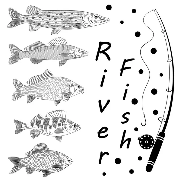 물고기에 스케치 물고기 물고기는 파이크 파이크 스케치 일러스트 — 스톡 벡터
