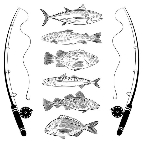 Set of popular sea fish and fishing rods. Tuna, dorado, cod, sea bass, salmon, mackerel. Vector illustration on a theme of catching sea fish