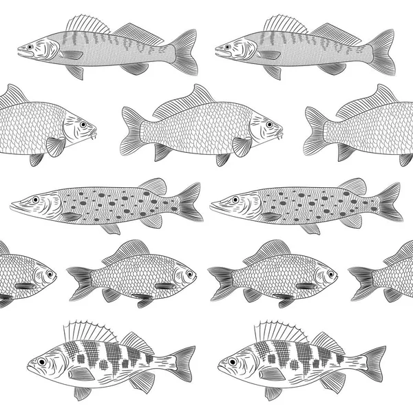 Set of painted popular river fishes. The fish are drawn parallel to each other. Pike, pike perch, crucian carp, carp, perch. Sketch, pattern, vector illustration. — Stock Illustration Set Painted Popular River Fishes Fish Drawn Parallel Each Other Royalty Free Stock Illustrations