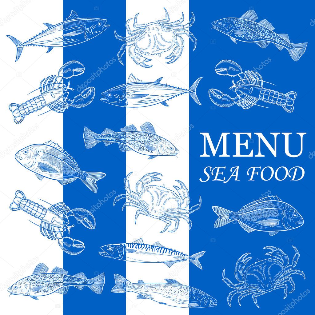 Menu, sea fish.Pattern of painted popular sea fish and crab,lobster. Salmon, tuna, cod, mackerel, dorado,lobster, crab.Blue backgriound. Vector illustration