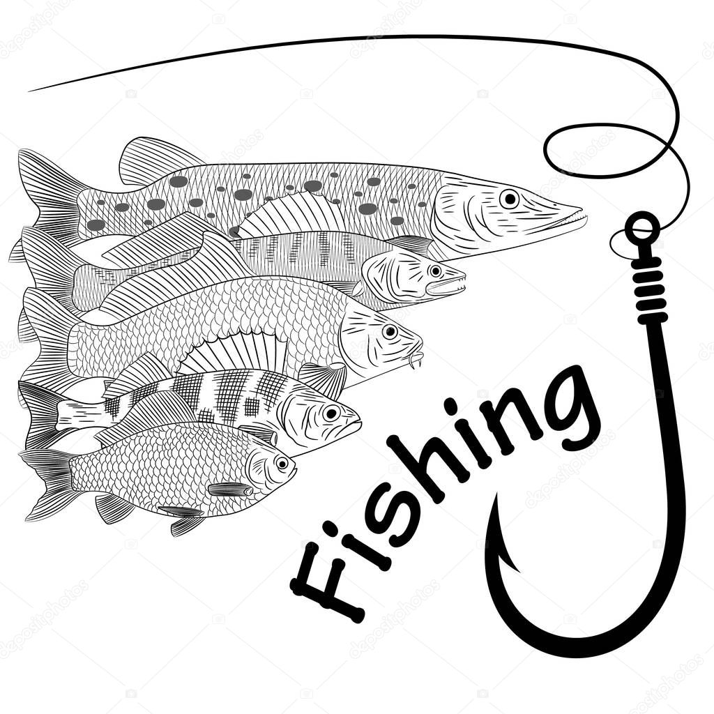 Drawing on the theme of river fish. Pike, pikeperch, carp, crucian carp, perch, fishing line and fish hook. Sketch, vector illustration.
