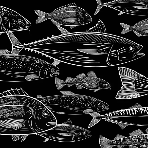 Bild Populär Havsfisk Tonfisk Dorado Lax Torsk Makrill Skiss Ritningen — Stock vektor
