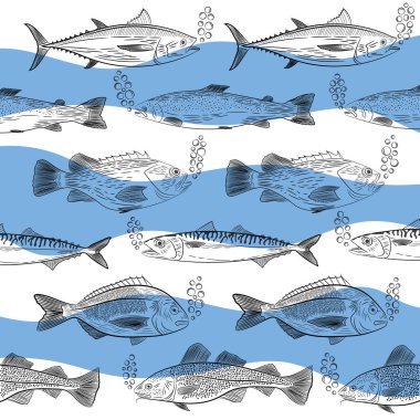 Bir dizi farklı yönlere yüzen popüler Deniz balığı. Tuna, cod, dorado, somon, levrek, uskumru ve oksijen kabarcıklar. Kroki, vektör çizim