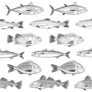 Bir dizi farklı bir yöne Yüzme popüler Deniz balığı. Ton balığı, cod, dorado, somon, levrek, uskumru. Kroki, vektör çizim