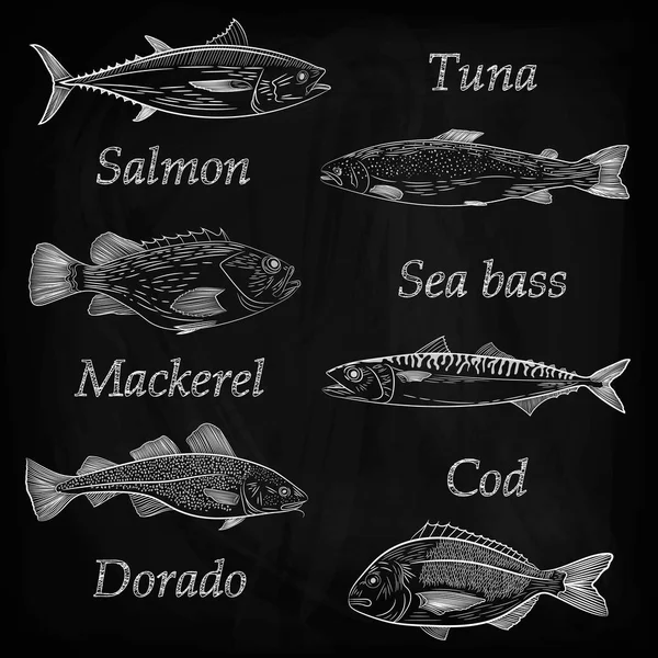 Set Painted Popular Sea Fish Names Tuna Salmon Cod Sea — Stock Vector