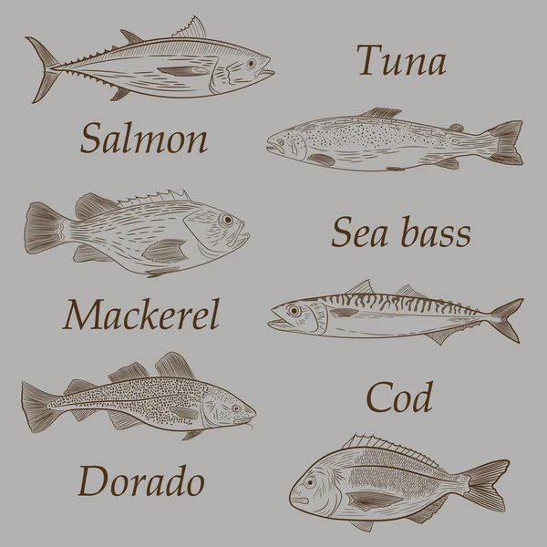 Ensemble Poissons Mer Populaires Nageant Dans Une Direction Différente Thon — Image vectorielle