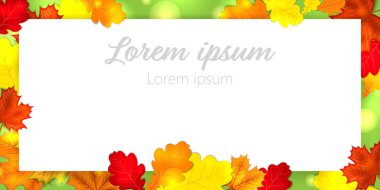 sonbahar yaprakları arka plan