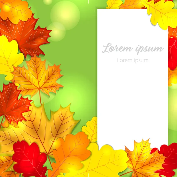 Autumn leaves background — Stock Vector