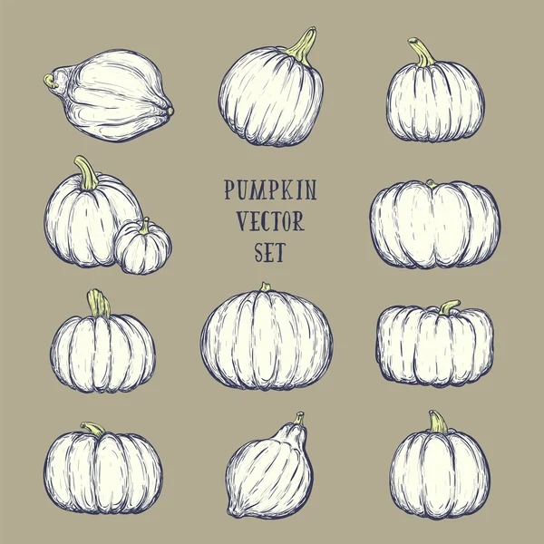 Hand drawn pumpkin set. Vector sketchy illustration — Stock Vector