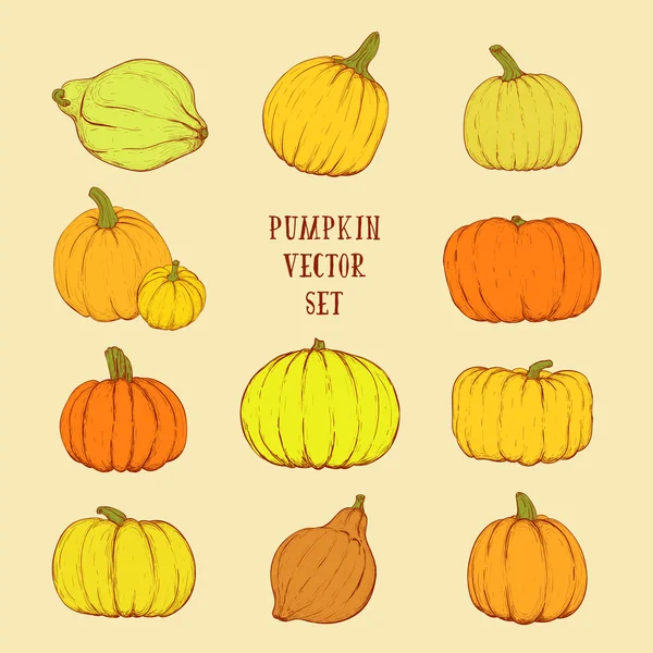 Bright pumpkin set. Vector sketchy illustration — Stock Vector