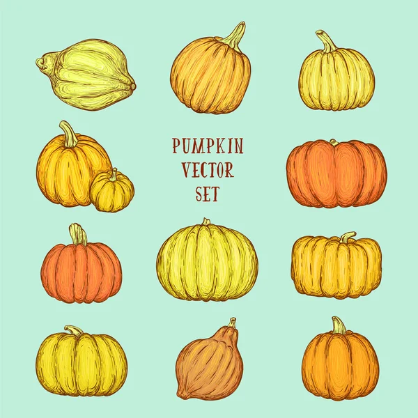 Bright pumpkin set. Vector sketchy illustration — Stock Vector