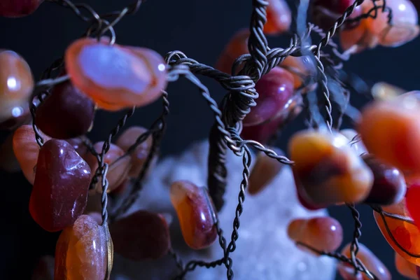 Schöner Steinbaum — Stockfoto