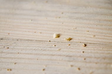 Ahşap ve patchwork fabrikası