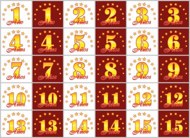 Altın kümesi 1'den 15'e numaralar ve kelime yılın yıldız bir daire ile dekore edilmiştir. Vektör çizim. Tercüme İspanyolca - yıl 
