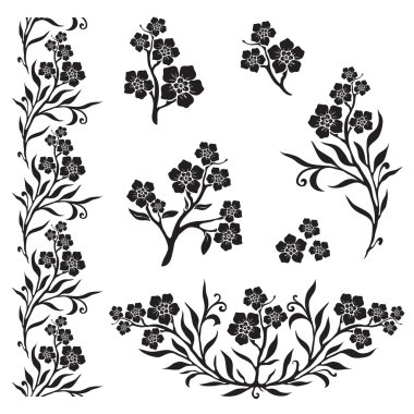 Unutma (myosotis) grafik çiçekler