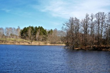 Avrupa göle erken bahar