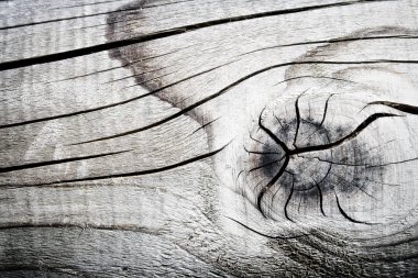 Yaşlı ahşap doku, yakın çekim