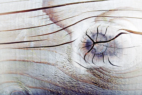 Aged wood texture, close-up