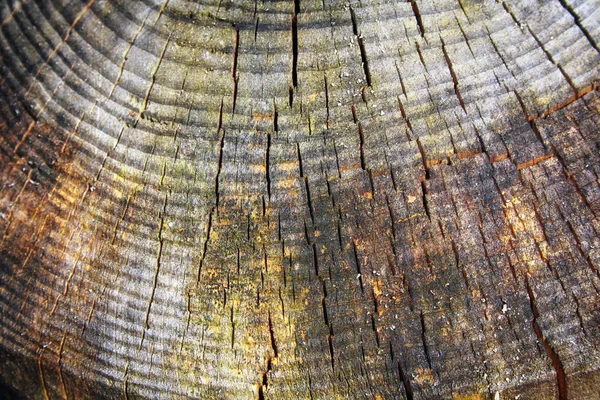Struttura del legno invecchiato, primo piano — Foto Stock