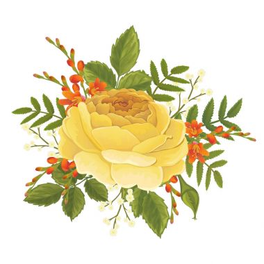 Turuncu gül grafik çiçekler