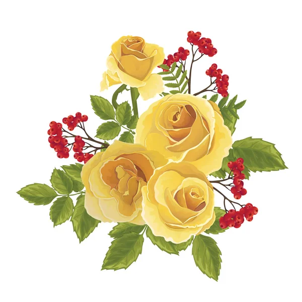 English orange rose and rowan berries — Stock Vector