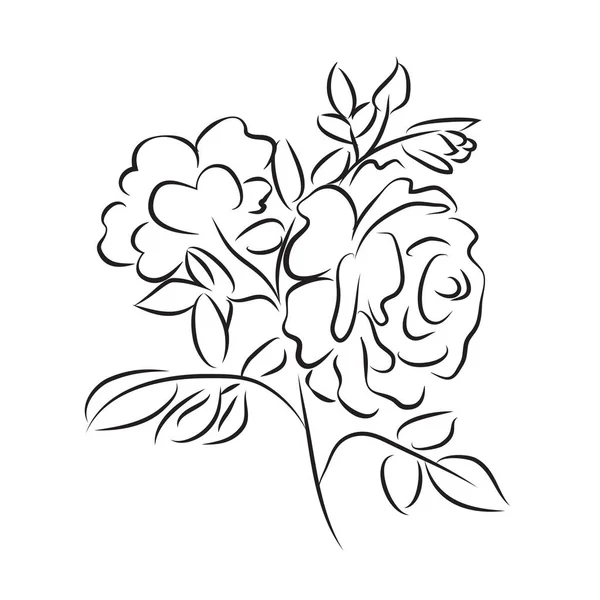 Sketch rose branch — Stock Vector