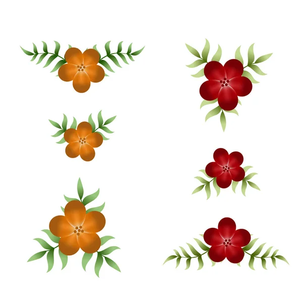 Elementos de flor bonito em vermelho e laranja — Vetor de Stock