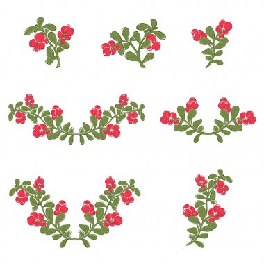 İsveç kirazı siluet dalları